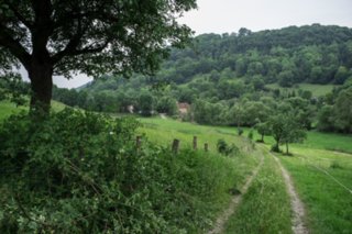 20120602_vellberg-geislingen_115
