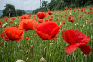 20120602_vellberg-geislingen_126