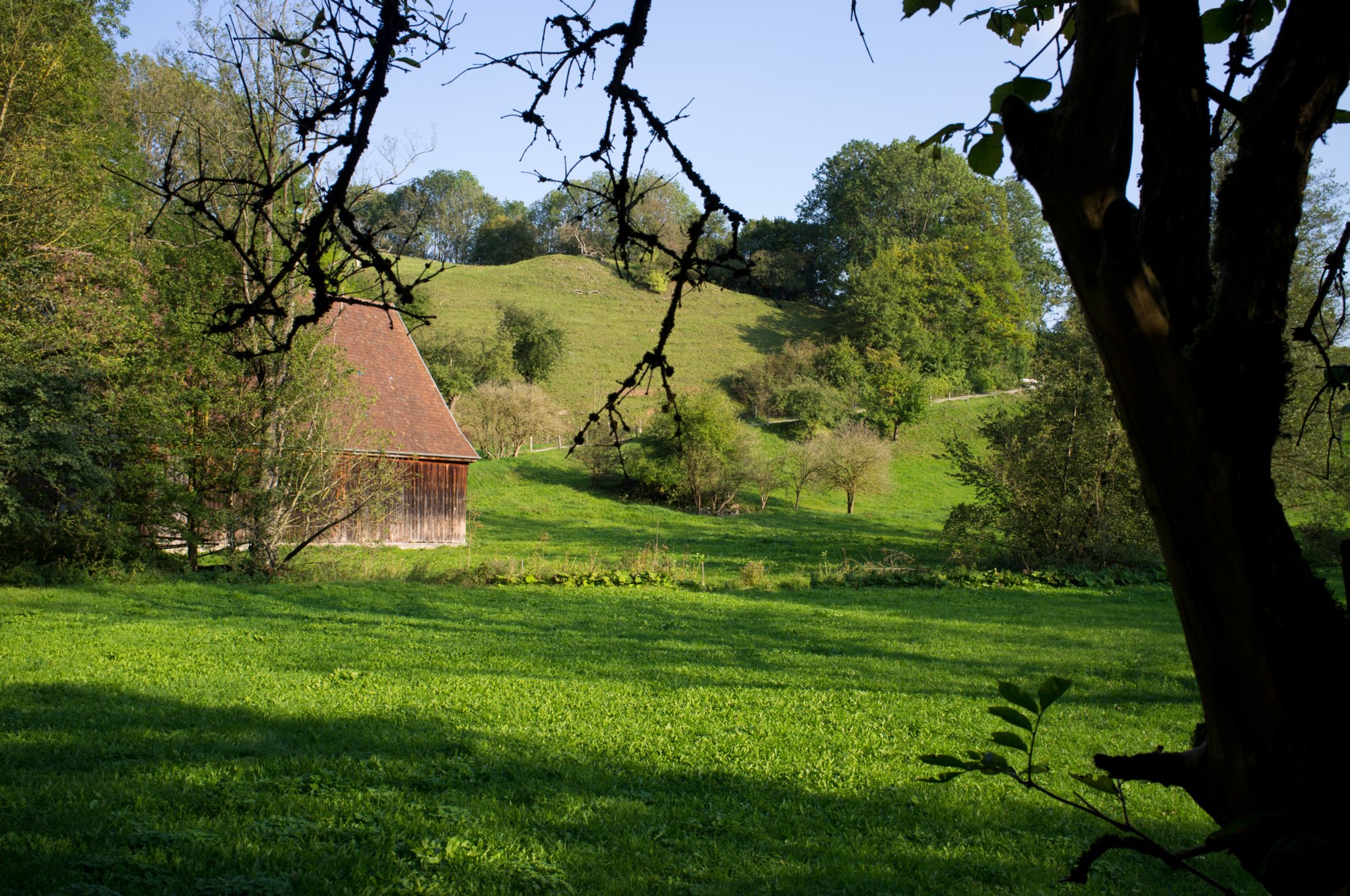 Ehemalige Rappolder Mühle im Bühlertal Ehemalige Rappolder Mühle. Im Bühlertal. Wanderung von Vellberg durch das Bühleral zur ehemaligen Rappolder Mühle und wieder zurück über die Stöckenburg nach Vellberg.