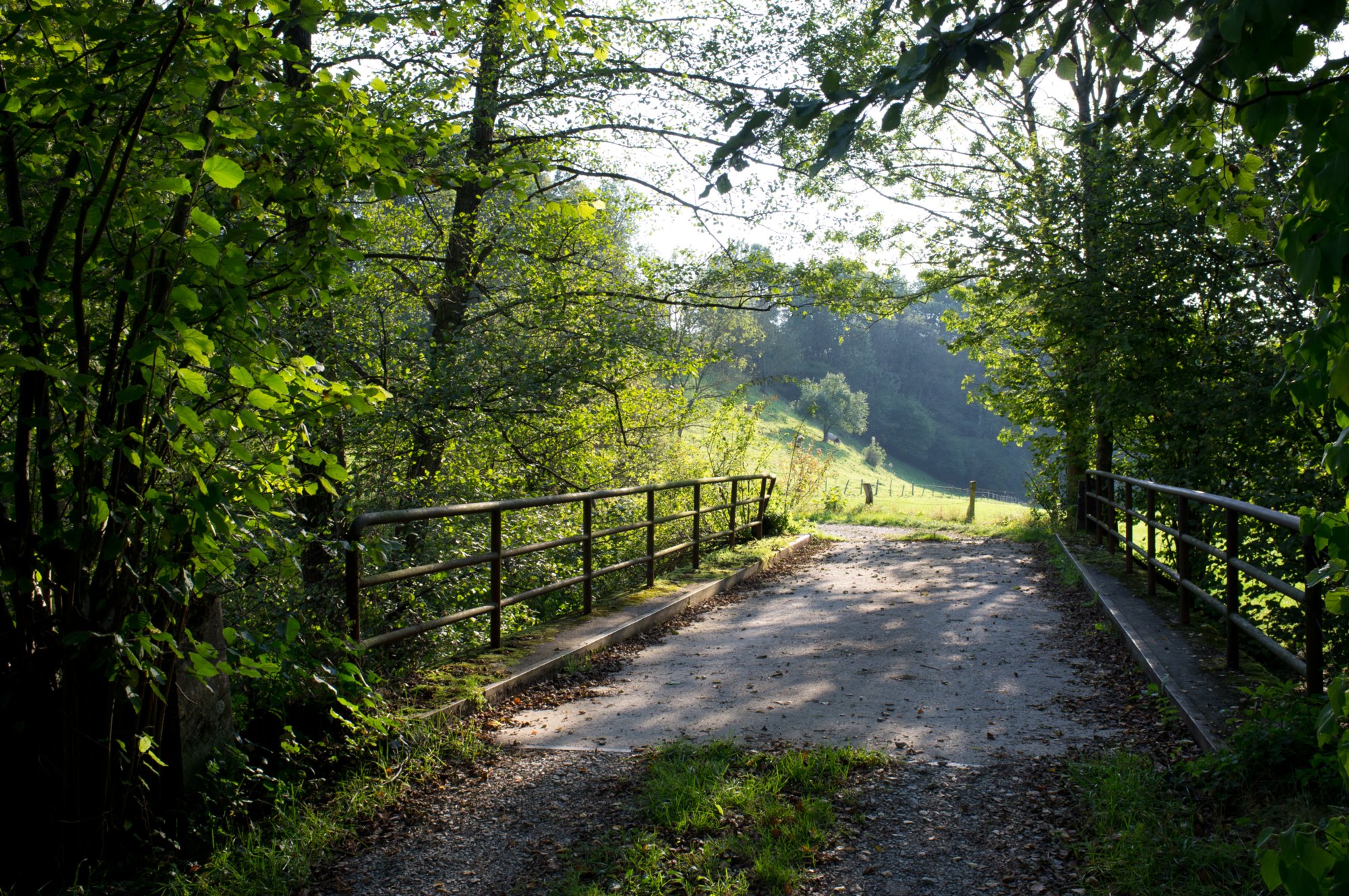 Im Bühlertal Im Bühlertal. Wanderung von Vellberg durch das Bühleral zur ehemaligen Rappolder Mühle und wieder zurück über die Stöckenburg nach Vellberg.