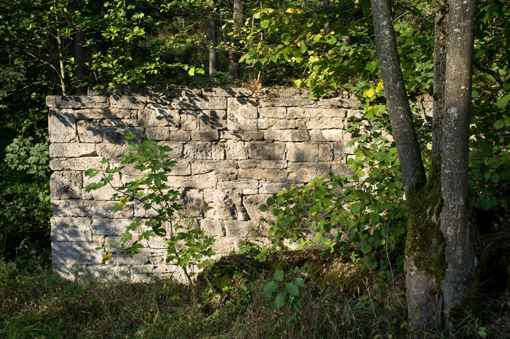 Ehemalige Rappolder Mühle im Bühlertal Ehemalige Rappolder Mühle. Wanderung von Vellberg durch das Bühleral zur ehemaligen Rappolder Mühle und wieder zurück über die Stöckenburg nach Vellberg.