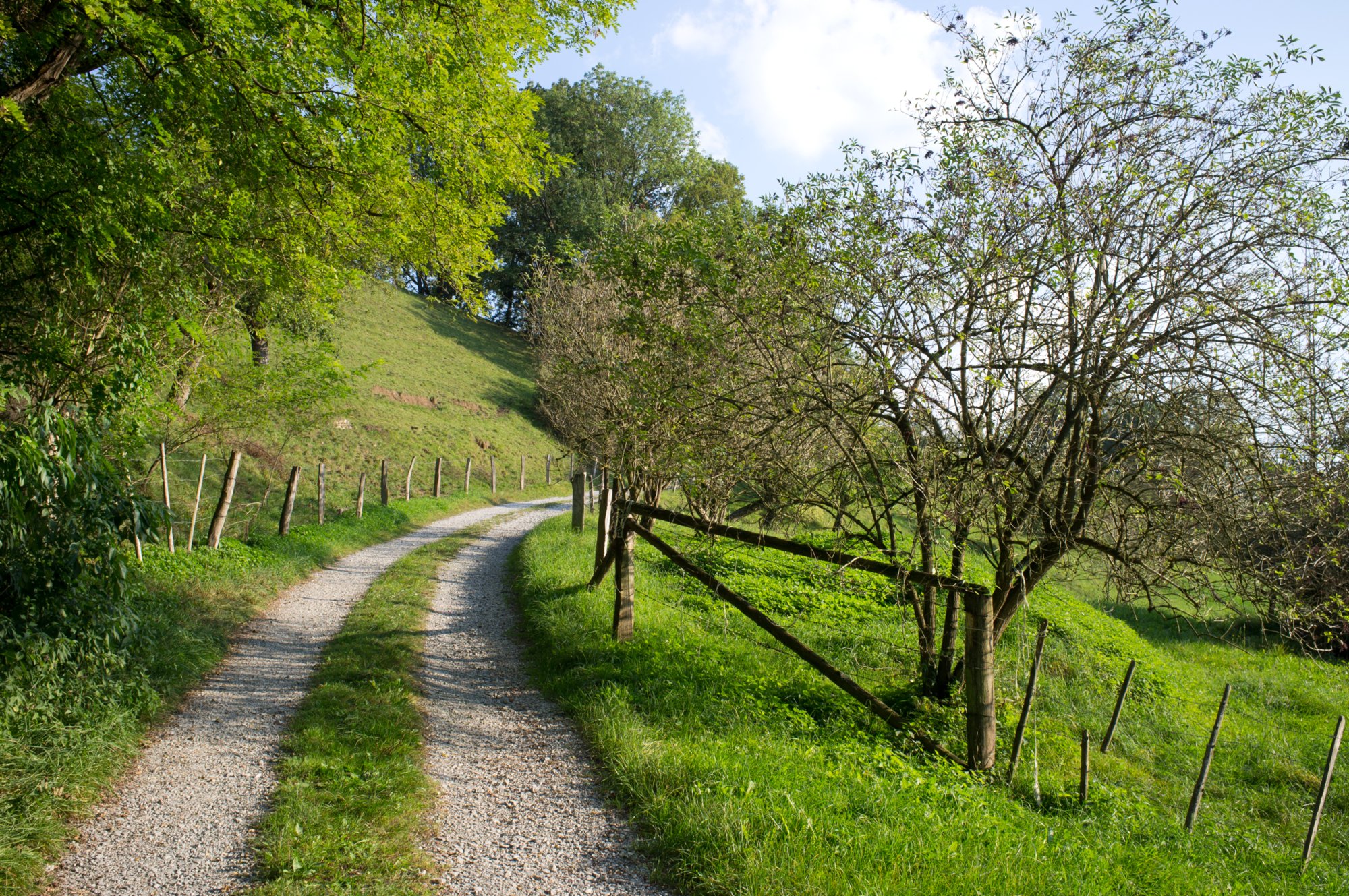 Im Bühlertal Im Bühlertal. Wanderung von Vellberg durch das Bühleral zur ehemaligen Rappolder Mühle und wieder zurück über die Stöckenburg nach Vellberg.