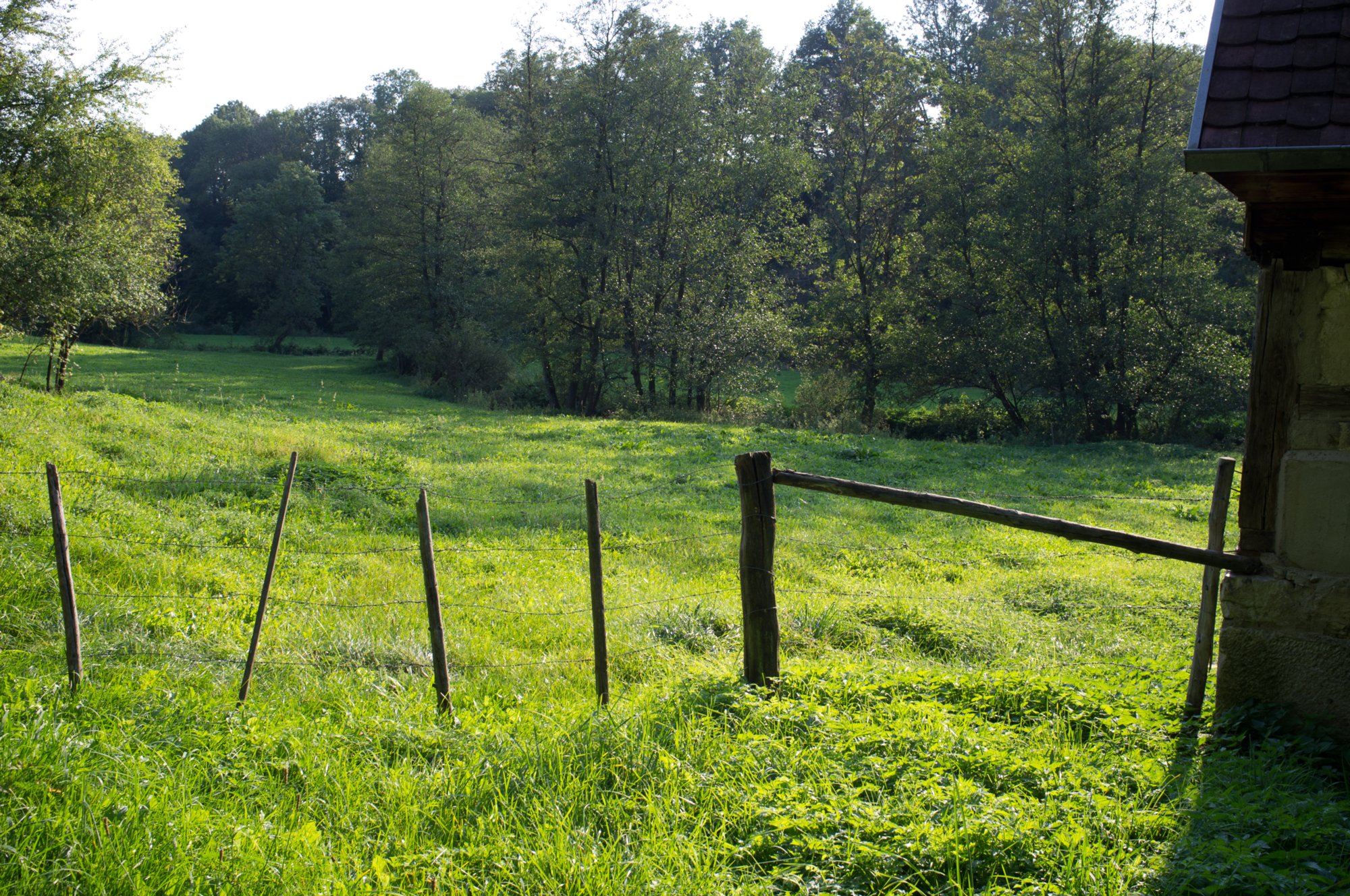 Im Bühlertal Im Bühlertal. Wanderung von Vellberg durch das Bühleral zur ehemaligen Rappolder Mühle und wieder zurück über die Stöckenburg nach Vellberg.