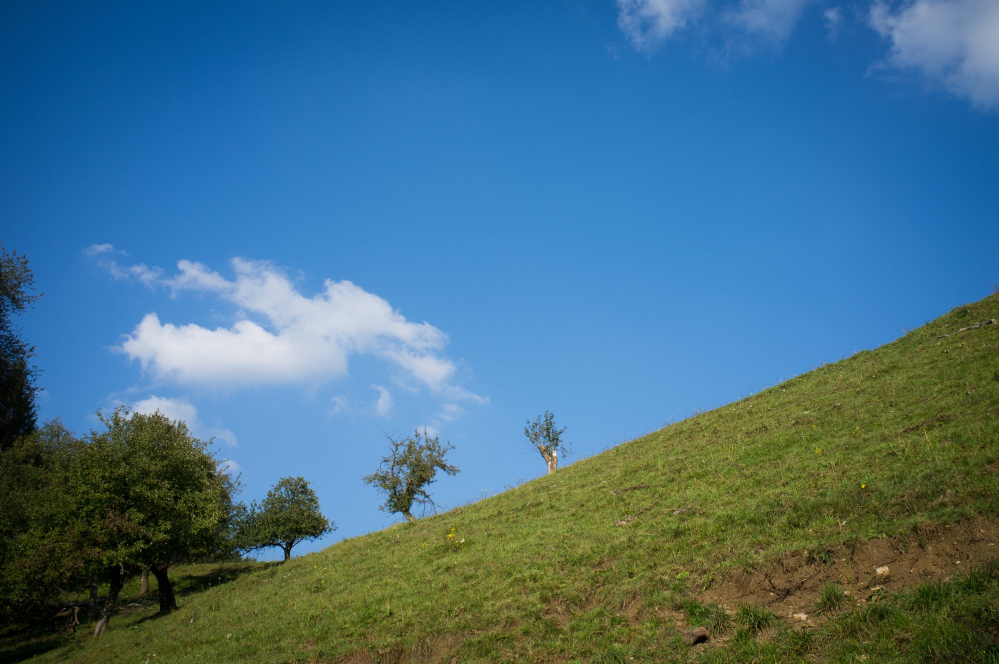 Im Bühlertal Im Bühlertal. Wanderung von Vellberg durch das Bühleral zur ehemaligen Rappolder Mühle und wieder zurück über die Stöckenburg nach Vellberg.