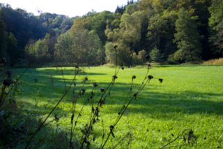 20110926_buehlertal_007