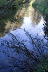 20110926_buehlertal_010