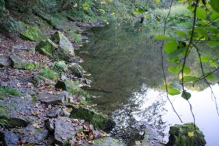 20110926_buehlertal_011