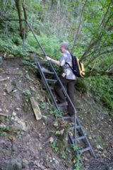 20110926_buehlertal_015