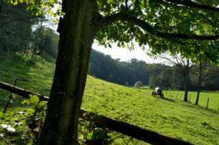 20110926_buehlertal_033