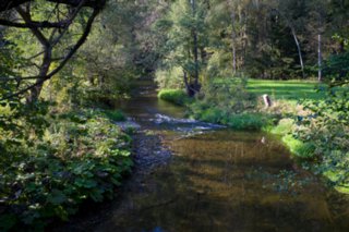 20110926_buehlertal_041