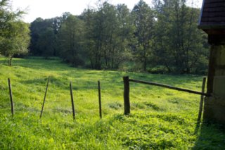 20110926_buehlertal_051