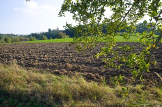 20110926_buehlertal_057