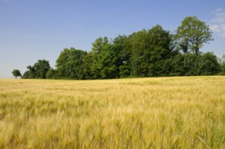 20100628_jagsttal_016