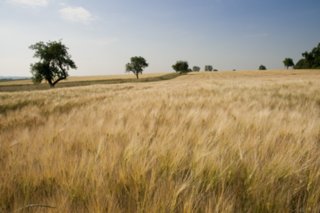 20100628_jagsttal_017