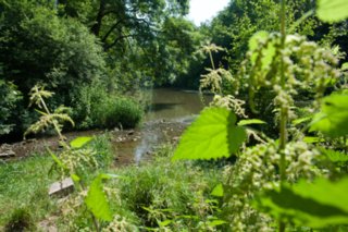 20100628_jagsttal_081