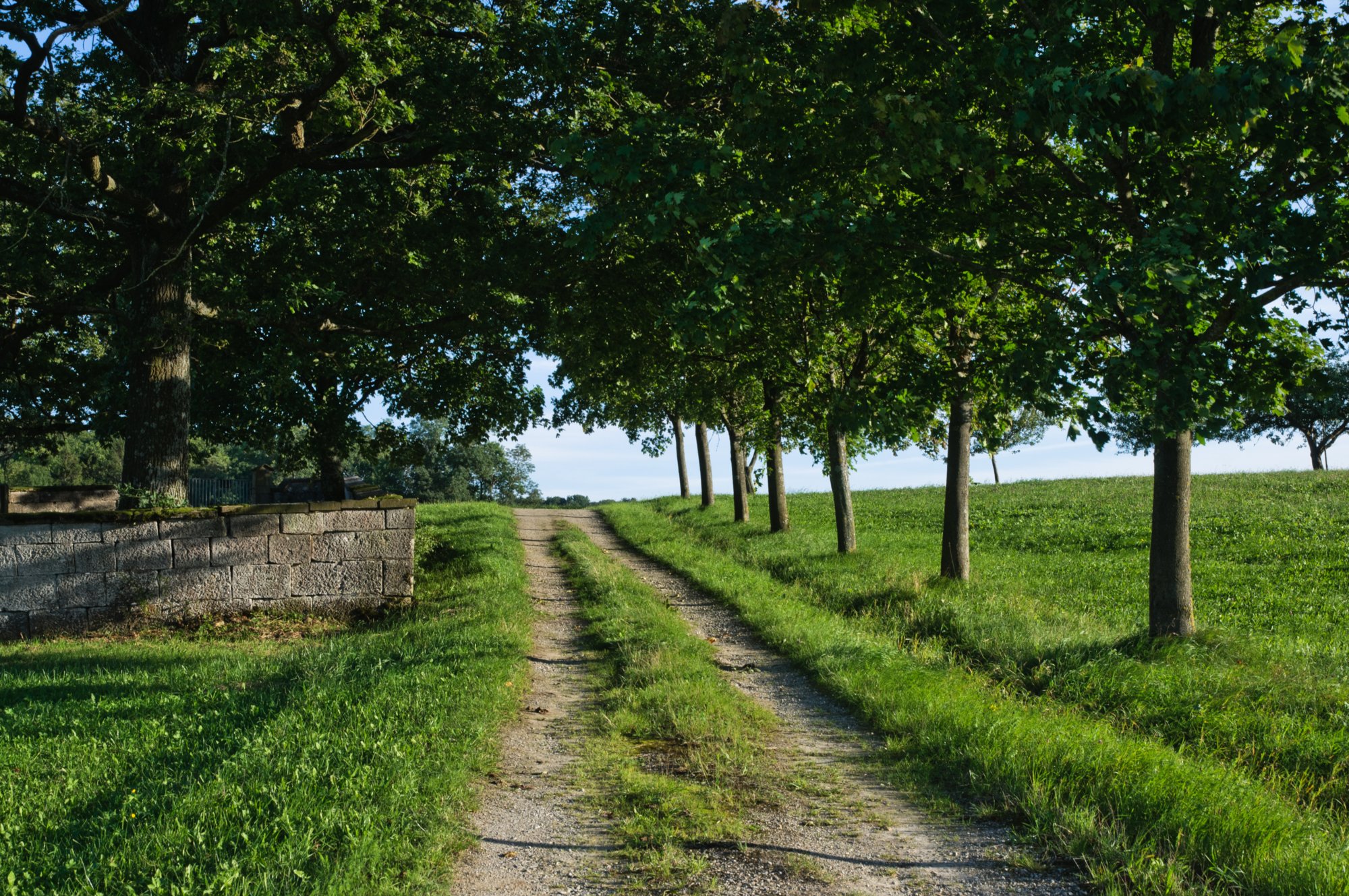 Wanderung zur Burgruine Leofels Wanderung von Dünsbach zur Burgruine Leofels und zum jüdischen Friedhof (bei Dünsbach). Zurück über Morstein nach Dünsbach.