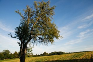 20100906_leofels_138