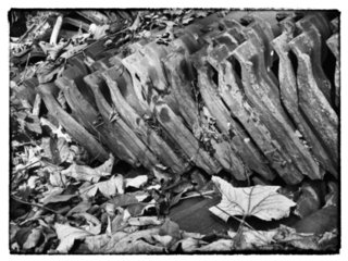 20111024_schrozberg_021-bearb-bw