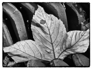 20111024_schrozberg_024-bearb-bw