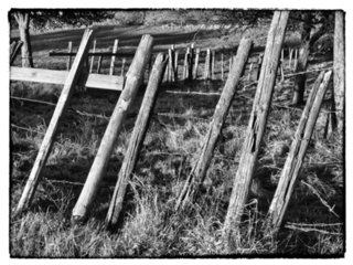 20111024_schrozberg_058-bearb-bw