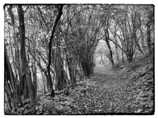 20111024_schrozberg_097-bearb-bw