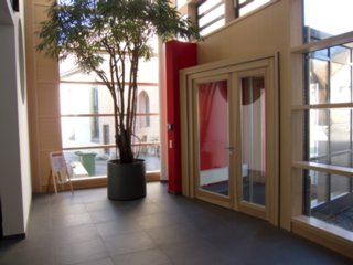 20110307_doerzbach_002