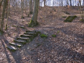 20110307_doerzbach_032