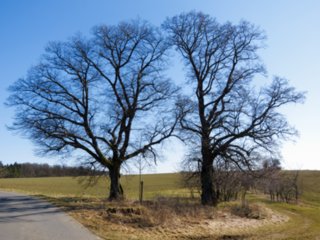 20110307_doerzbach_090
