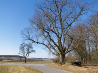 20110307_doerzbach_091