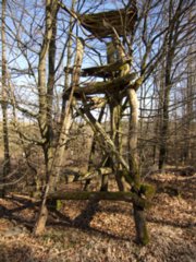 20110307_doerzbach_104