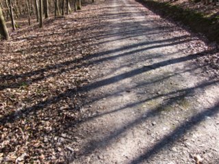 20110307_doerzbach_108