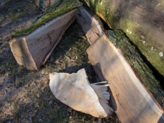 20110307_doerzbach_138