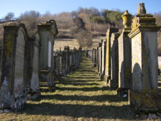 20110307_doerzbach_184