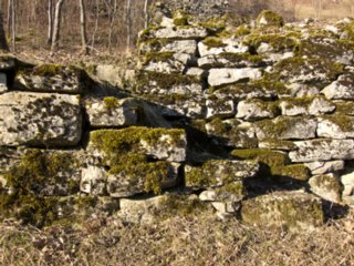 20110307_doerzbach_200