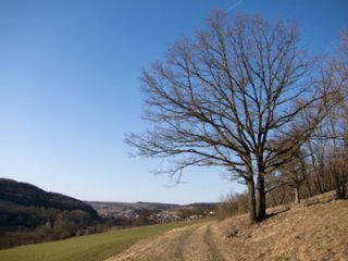 20110307_doerzbach_221