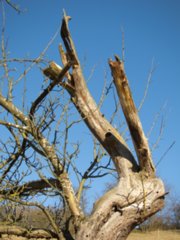 20110307_doerzbach_229