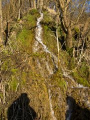 20110307_doerzbach_244