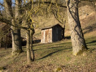 20110307_doerzbach_247