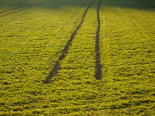 20110307_doerzbach_249
