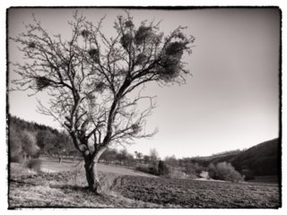 20110307_doerzbach_238-bearb-bw