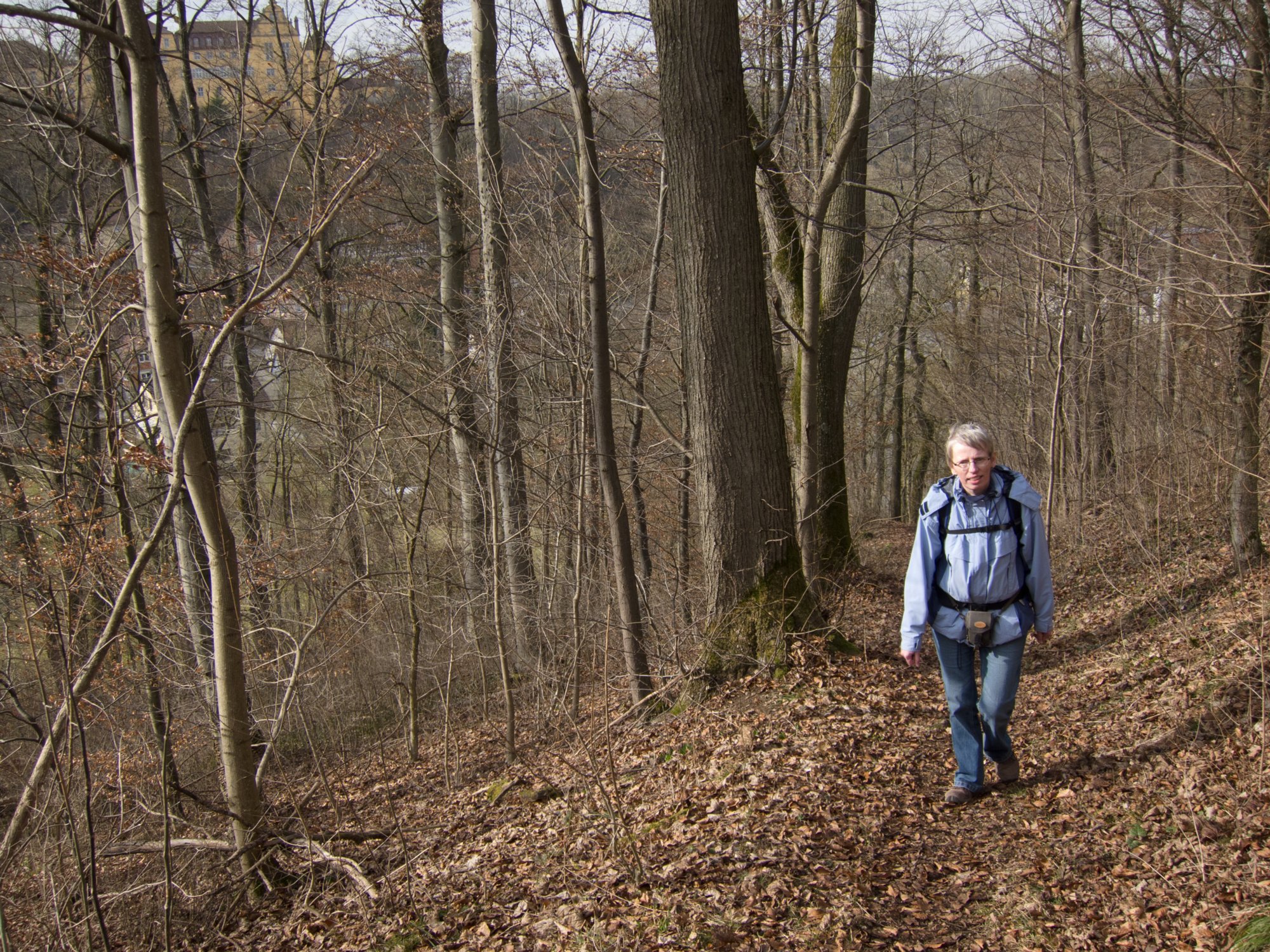 Weg zum Sophienberg Weg von Kirchberg zum Sophienberg hinauf. Wanderung vom Wanderparkplatz im Walderholungszentrum bei Kirchberg über die Villa Schönblick nach Gaggstatt. Von dort über die alte Verbindungsstraße zur Jugendherberge. Über die Alte Sulz (Stammburg der Ritter von Kirchberg) hinunter zur Jagstbrücke in Kirchberg. Über den Sophienberg zurück zum Wanderparkplatz.