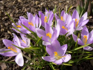 20110309_kirchberg_097