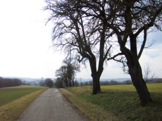 20110309_kirchberg_106