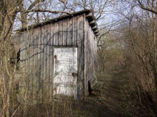 20110309_kirchberg_120