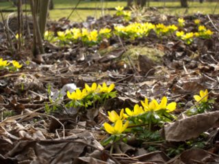 20110309_kirchberg_123