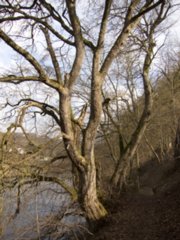 20110309_kirchberg_124