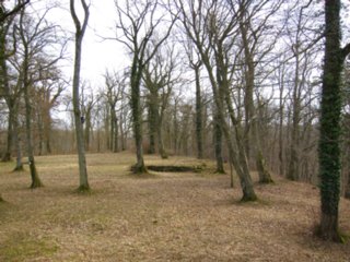 20110309_kirchberg_139