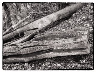 20110309_kirchberg_019-bearb-bw