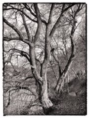 20110309_kirchberg_124-bearb-bw