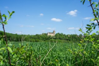 20120514_mistlau_001